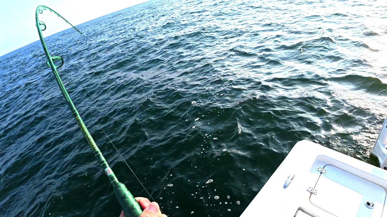 Summer Flashback! (Early Morning Bull Drum)