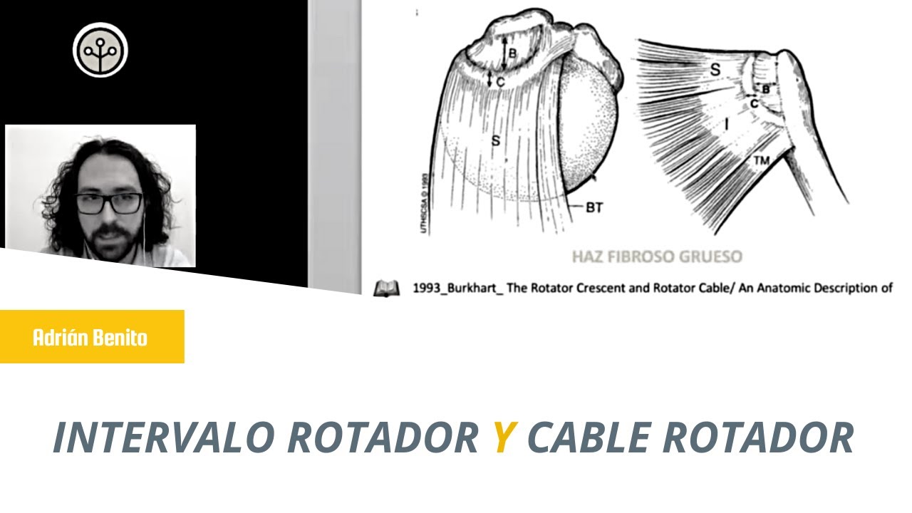 Intervalo Rotador y Cable Rotador Ecografía