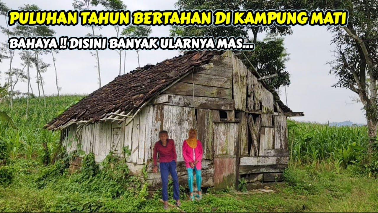 KASIHAN.! SEPASANG LANSIA TINGGAL SENDIRIAN DI KAMPUNG MATI TEMANGGUNG JAWA TENGAH