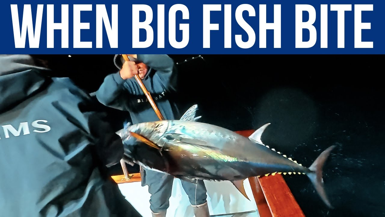 Want to know how to catch 100 lb. Bluefin Tuna at Night?