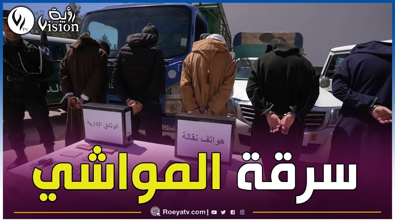 أفلو : الدرك الوطني يفكّك شبكة مختصة في سرقة المواشي ببلدية عين سيدي علي