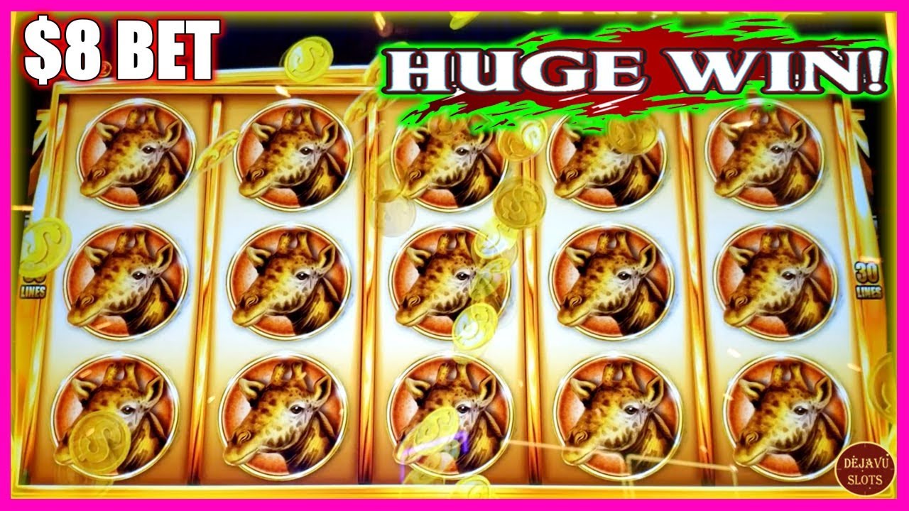 I NAILED A HUGE WIN ON RHINO CHARGE SLOT MACHINE | $8 BET BONUS |