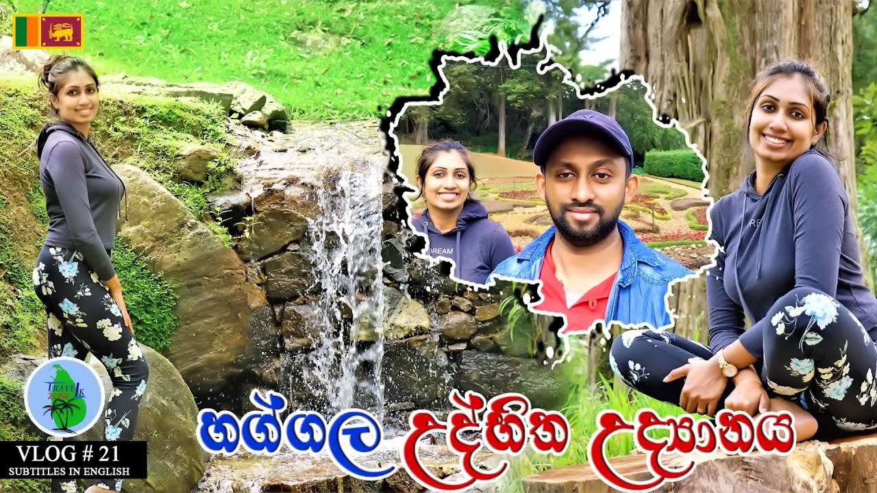 හග්ගල උද්භිත උද්‍යානය | Haggala Botanical Garden | VLOG # 21 | English Subtitles