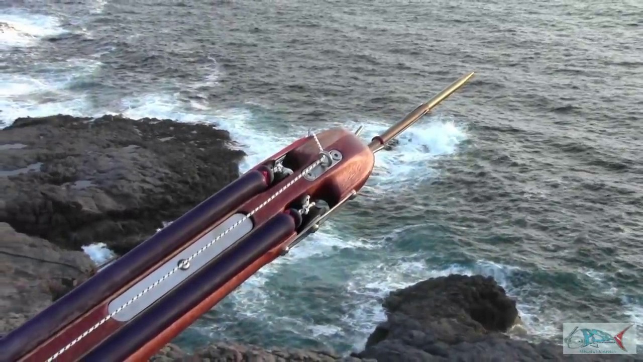pescasub : Roller Neptune 85 Conte Sub - Claudio Basili