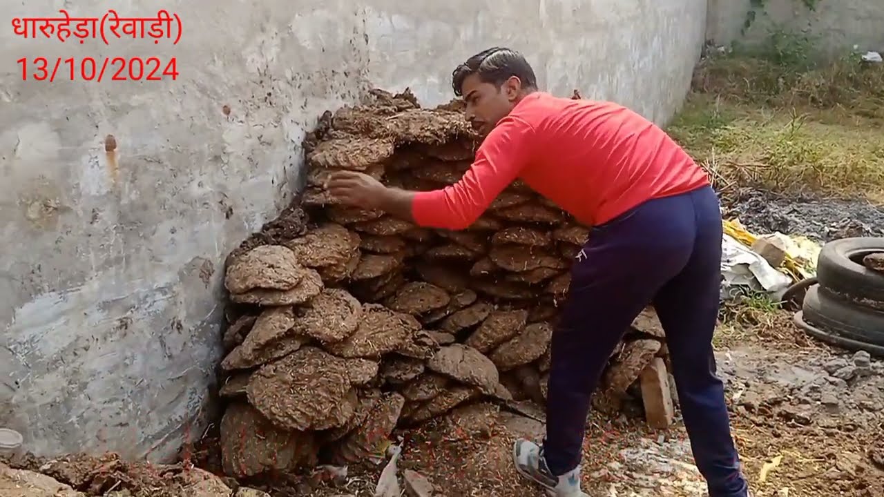 लोग मानते है सबसे खतरनाक और ज़हरीला जीव देखो कहां छुपा हुआ था