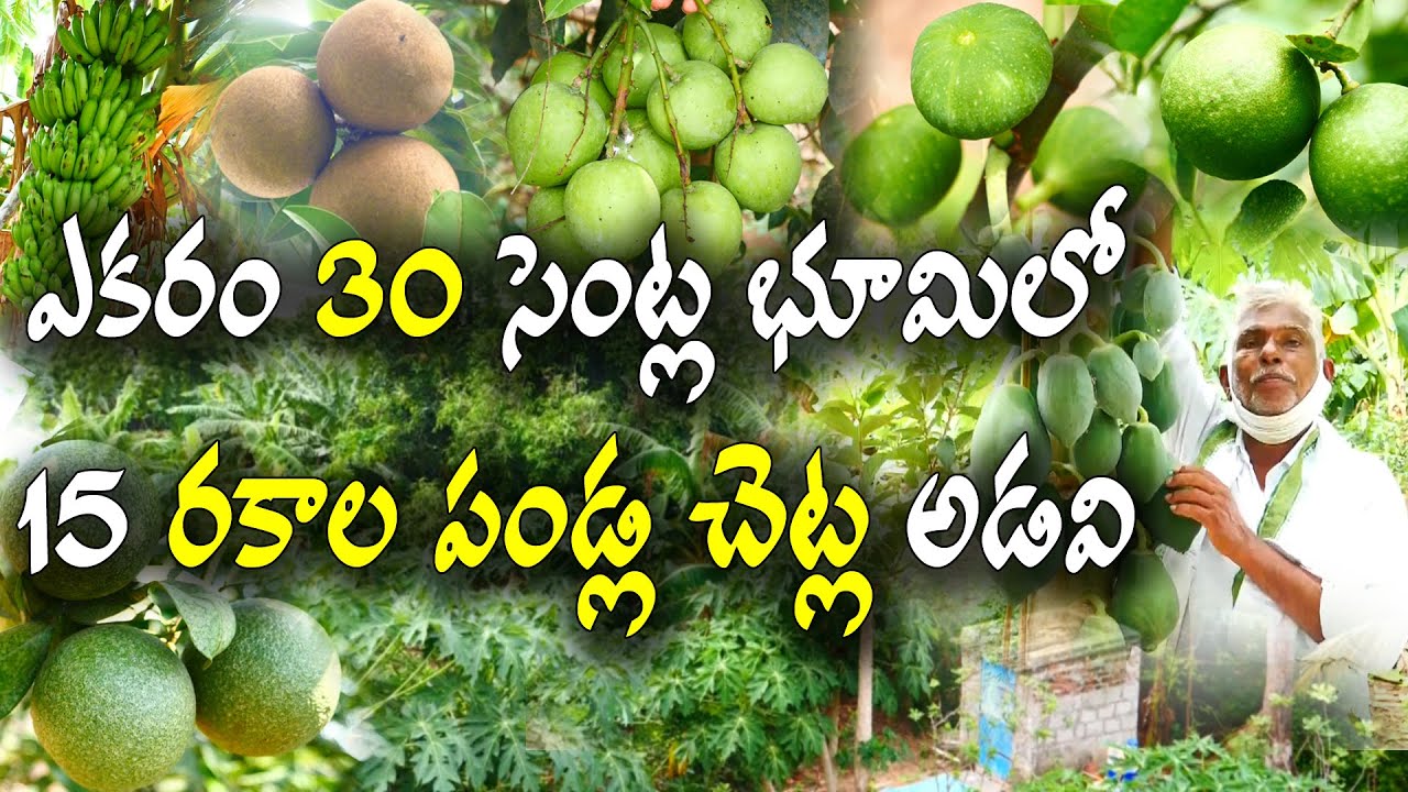 తక్కువ భూమిలో ఎక్కువ పంటలు || 10 వేల ఖర్చుతో 1 లక్షకుపైగా రాబడి || Integrated Farming || M Rangaiah