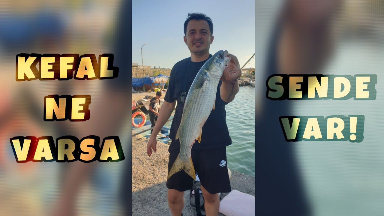 ÇEVLİK LİMAN KEFAL AVI ve AV GÜNLÜĞÜ #balıkavı #balık #çevlikoltacısı