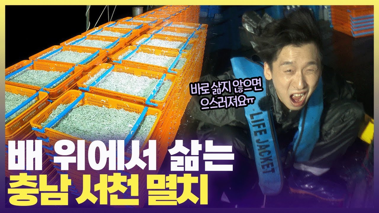 볶음용 멸치 작다고 얕봤다가 큰코 다친 윤쭈꾸😇 몇 시간 만에 배에서 내렸을까? [6시 내고향] | KBS 241002 방송