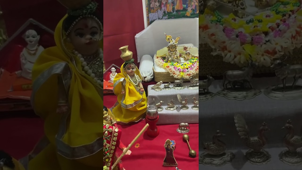 Dan Ekadashi / Pushimarg 🪷🌺🌼