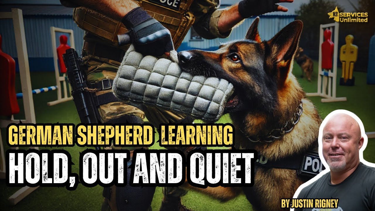 Teaching the Hold, out and quiet