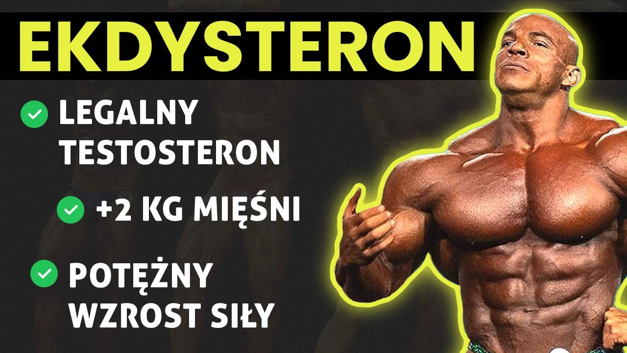 Ekdysteron - legalny testosteron? Nowy suplement o sporym potencjale.