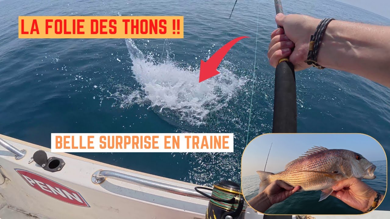 Un BANC de THONS vient ENCERCLER mon BATEAU 🔥🔥