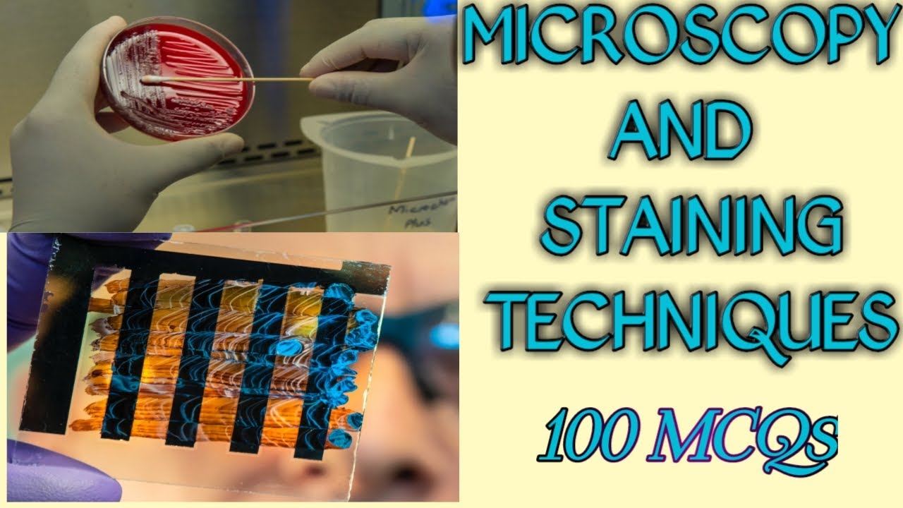 MICROSCOPY AND STAINING TECHNIQUES | 100 MCQs |GRAM STAINING .