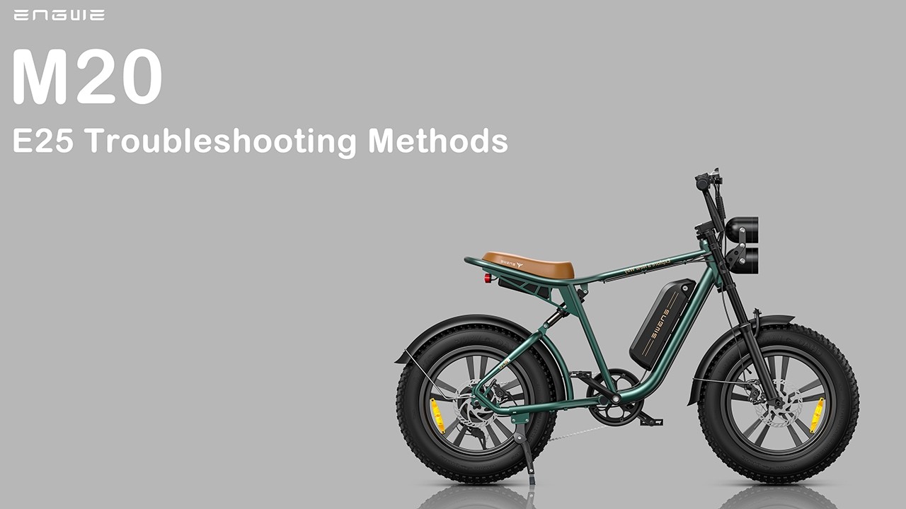 M20 E25 Troubleshooting Methods