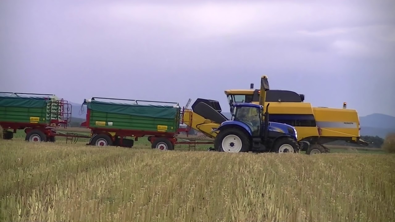 Żniwa Rzepakowe 2012 - New Holland T6070 , TC 5070
