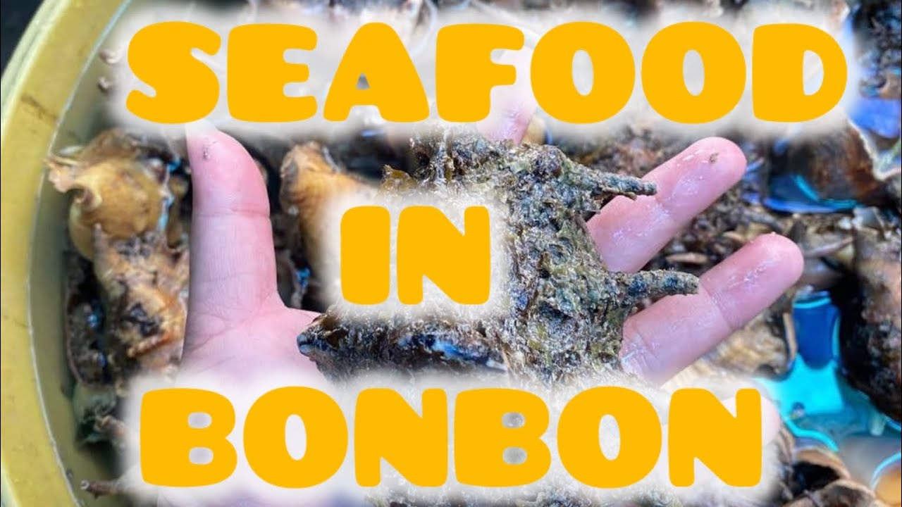 SEAFOOD PARADISE IN BONBON CATARMAN|LILOAN CEBU