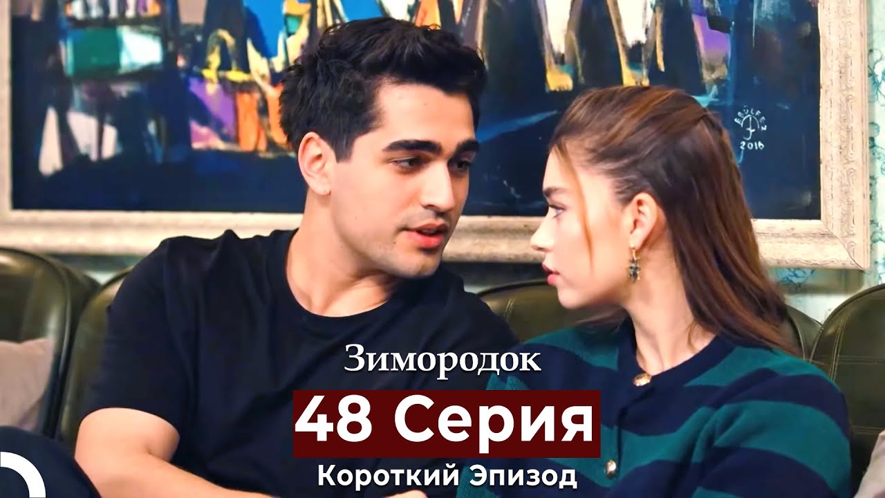 Зимородок 48 Cерия (Короткий Эпизод) (Русский дубляж)