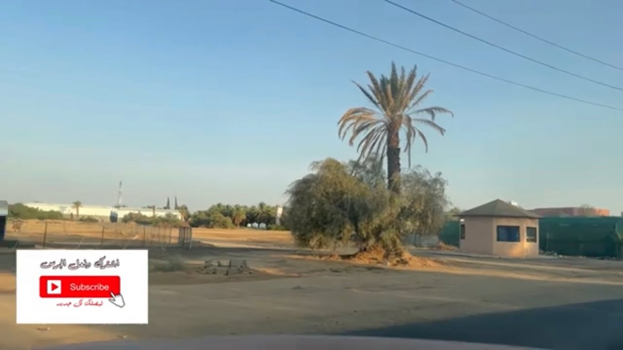 جوله عشاق تبوك الورد شرق تبوك tabuk
