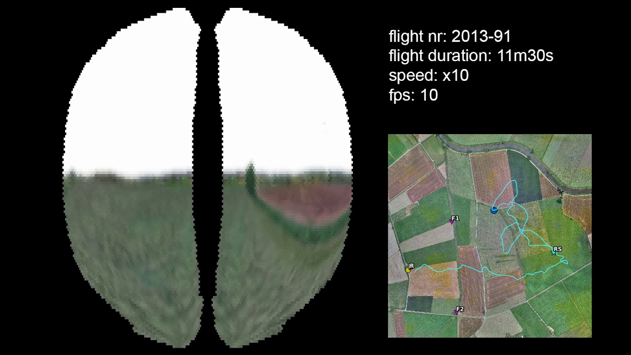 Raycasting Bee Vision Simulation