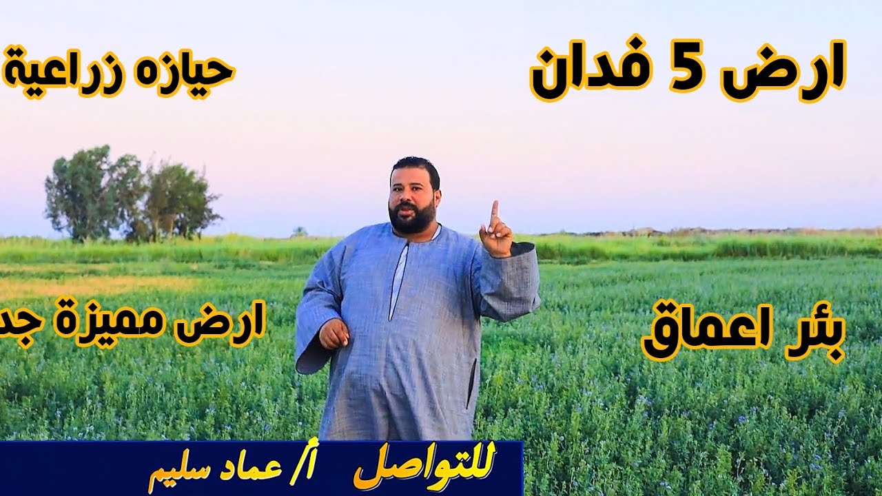 ٥ فدان ارض جمعيه حيازة زراعيه مزروعه برسيم حجازي ارض ممتازه بالفرافره 