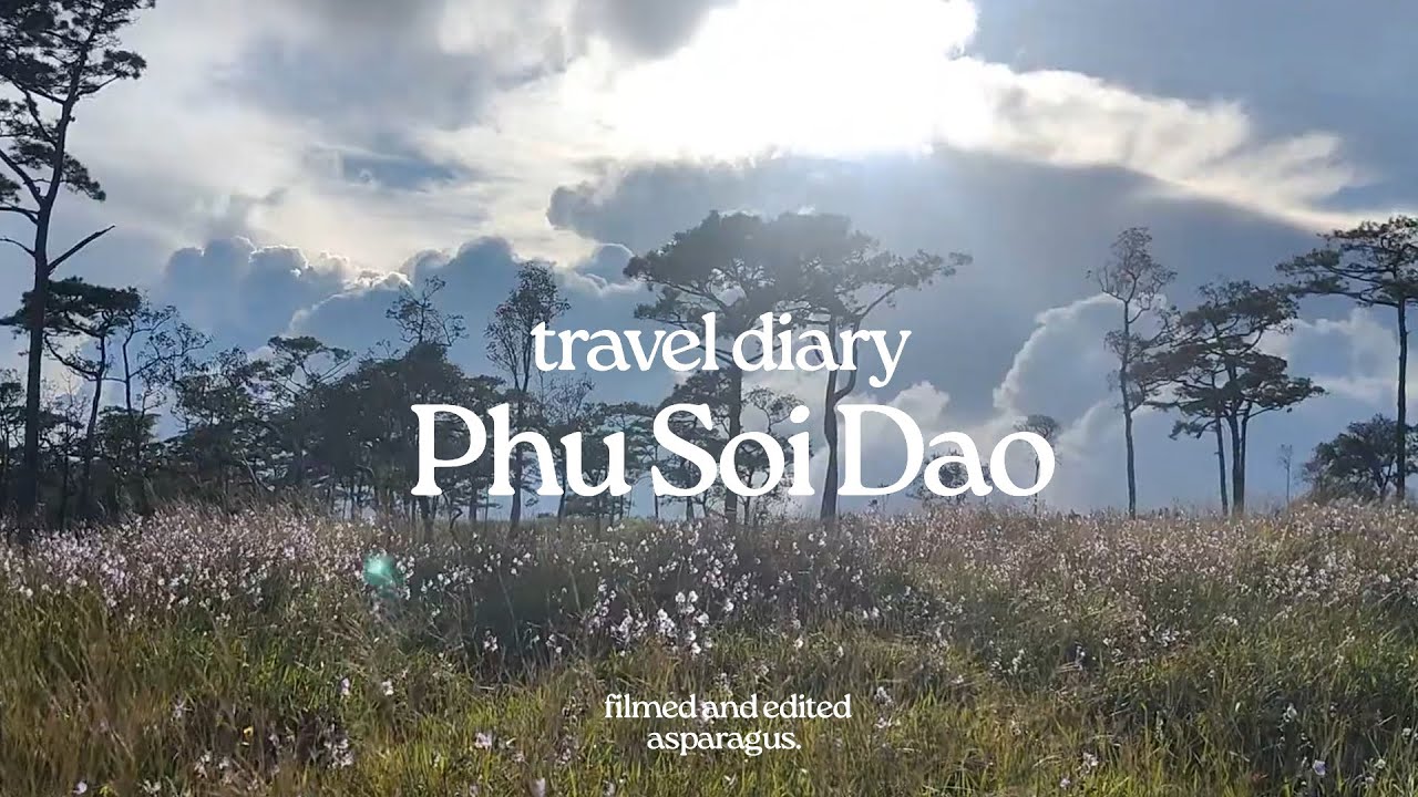 travel diary | Phu Soi Dao National Park🪻2 days 1 night hike (13km round trip) in rainy season