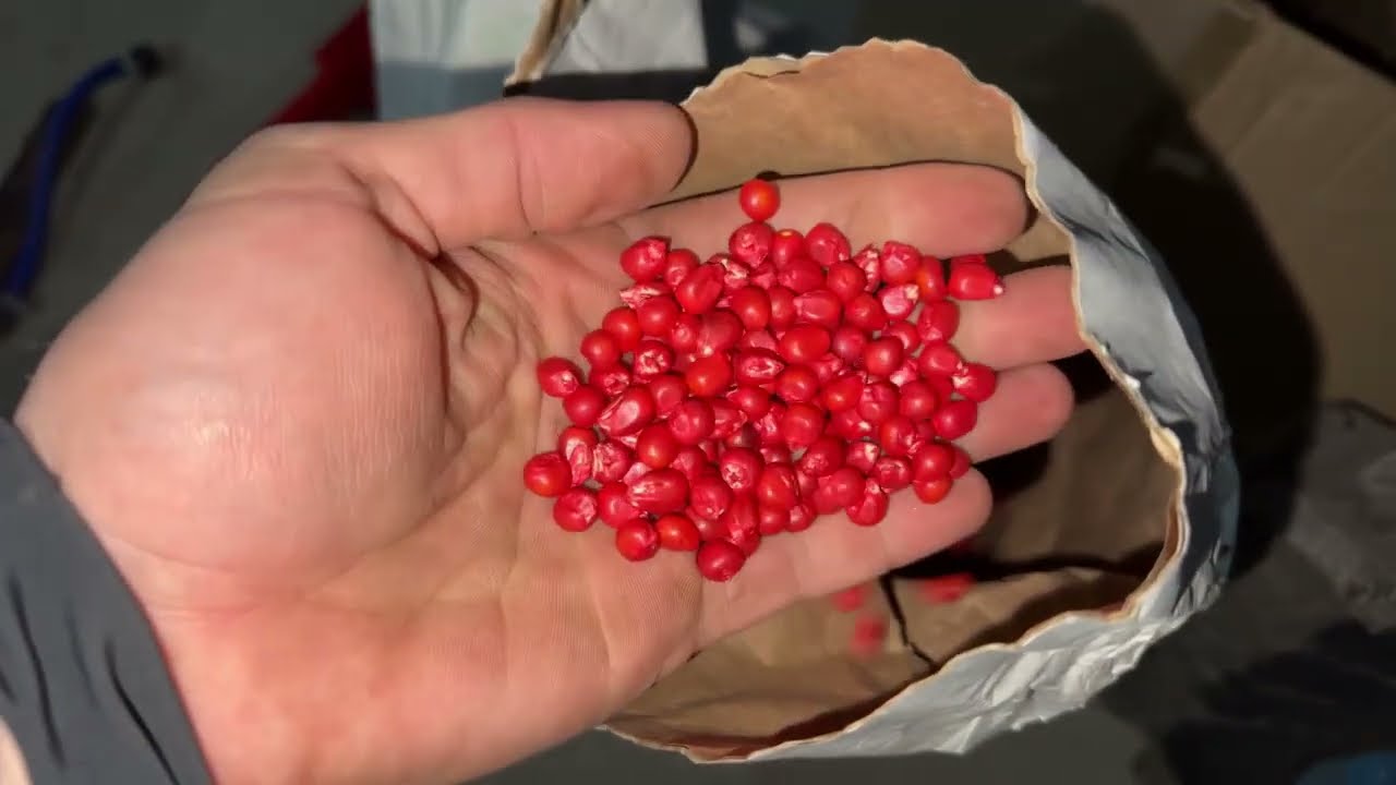 Нова СІВАЛКА за Малі гроші👍👀Тюнінг старої УПС8
