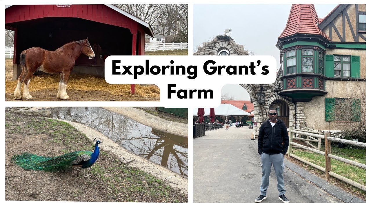 Grant’s Farm St. Louis-Full Tour 