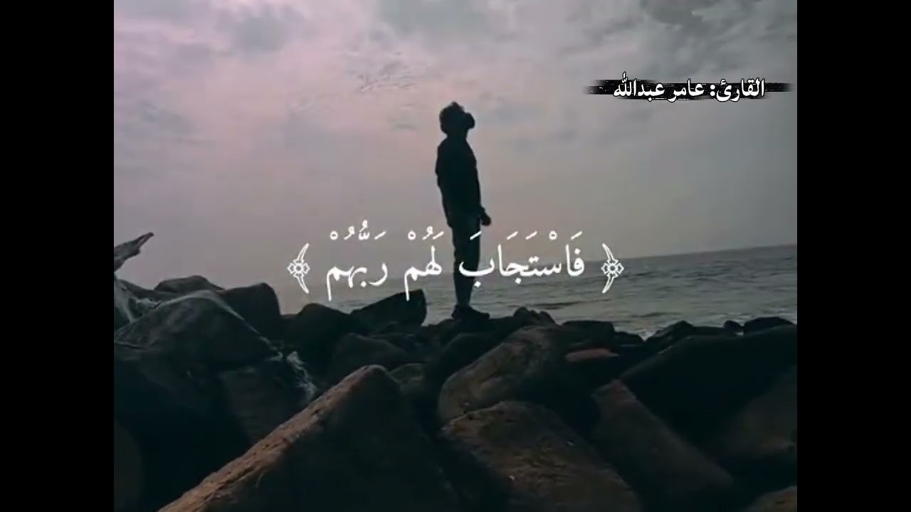 #تلاوة_خاشعة #قران_كريم من سورت آل عمران.. القارئ عامر عبدالله من جامع البر 