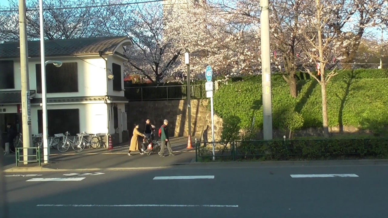 花見車窓　飛鳥山～王子駅前　2019年3月31日、4月7日【都電荒川線】