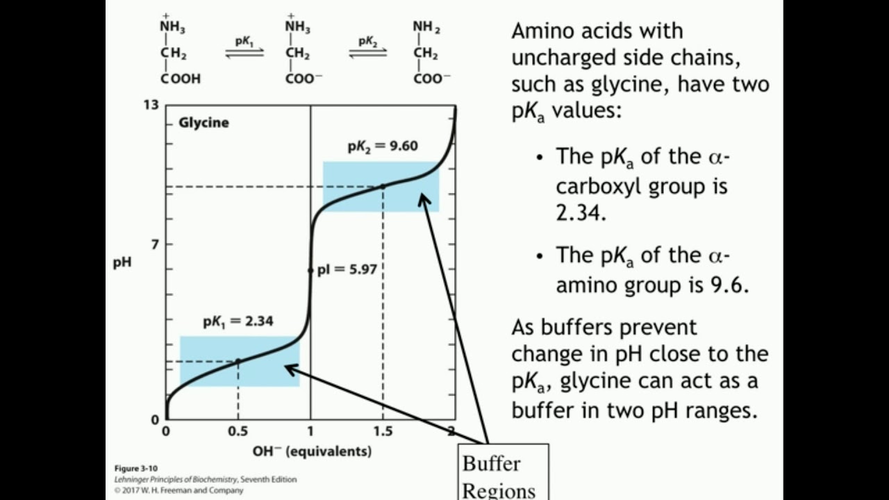 pH Effects on Amino Acid Structures