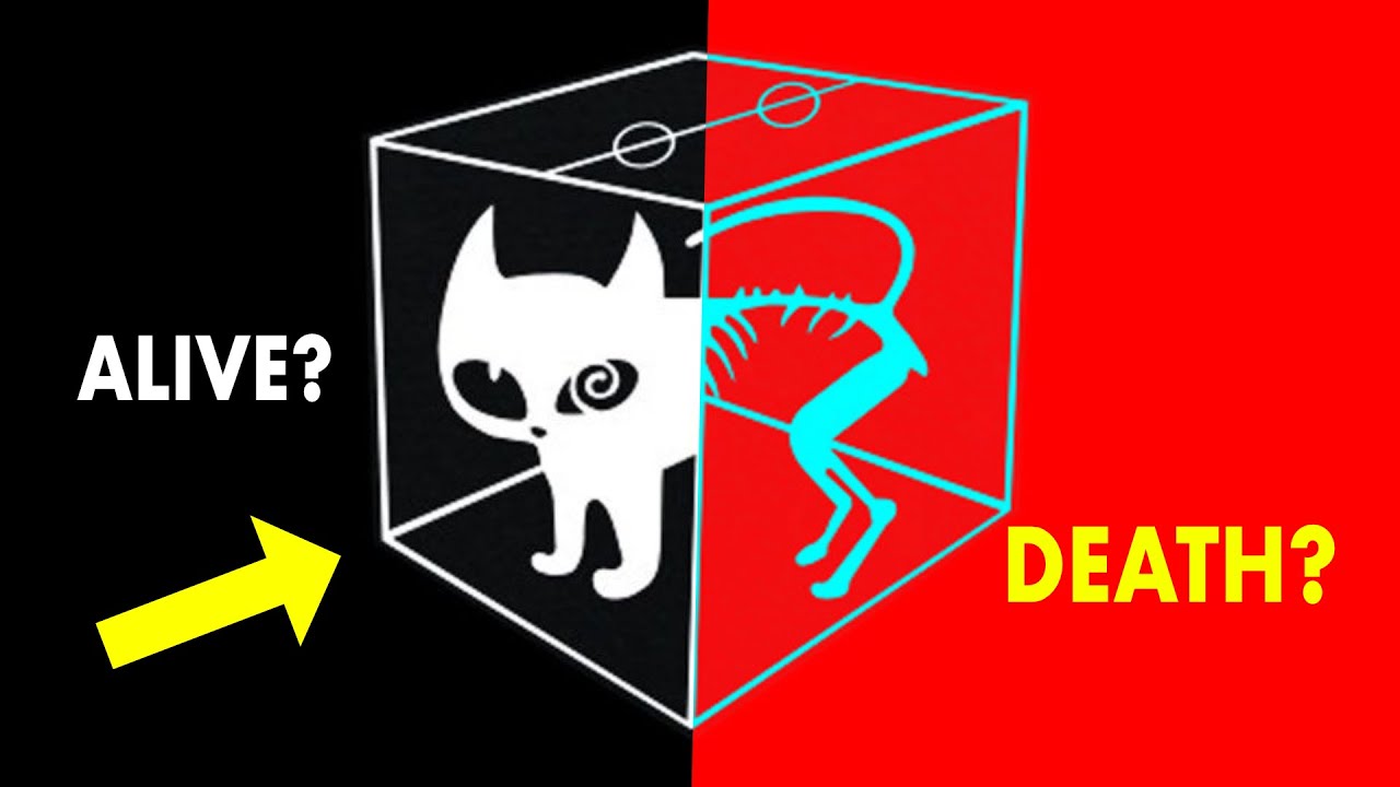 Schr&ouml;dinger's Cat - The Biggest Mystery of Physics is Finally Solved!