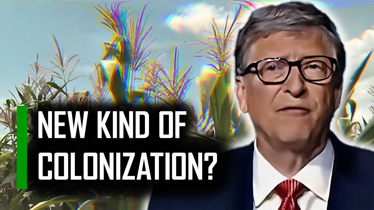 GMO & Africa: Hope or a New form of Exploitation? | Investigate Africa
