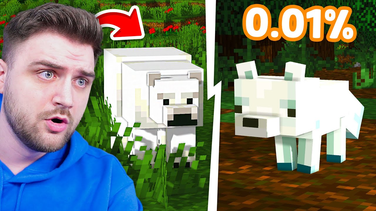 Cei Mai RARI MOBI POLARI in ZOO pe SMP!