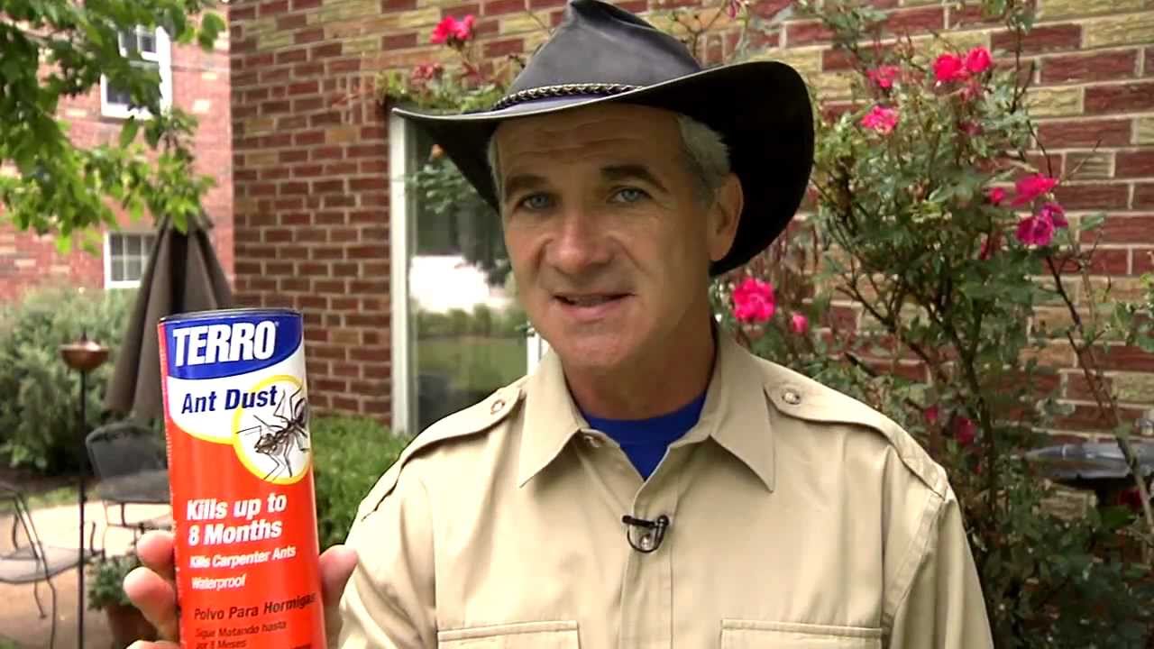 TERRO Ant Dust -  control ants with waterproof ant killer