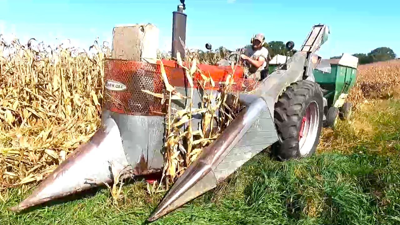 Picking Corn Just Like The Old Days! Harvest 2025