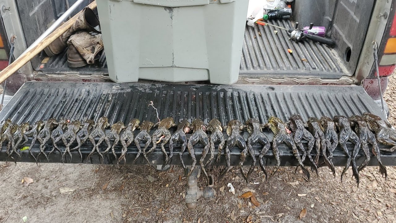 Florida frog gigging