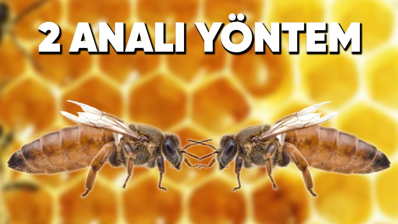 2 Anaarılı Y&ouml;ntem doğru mu?