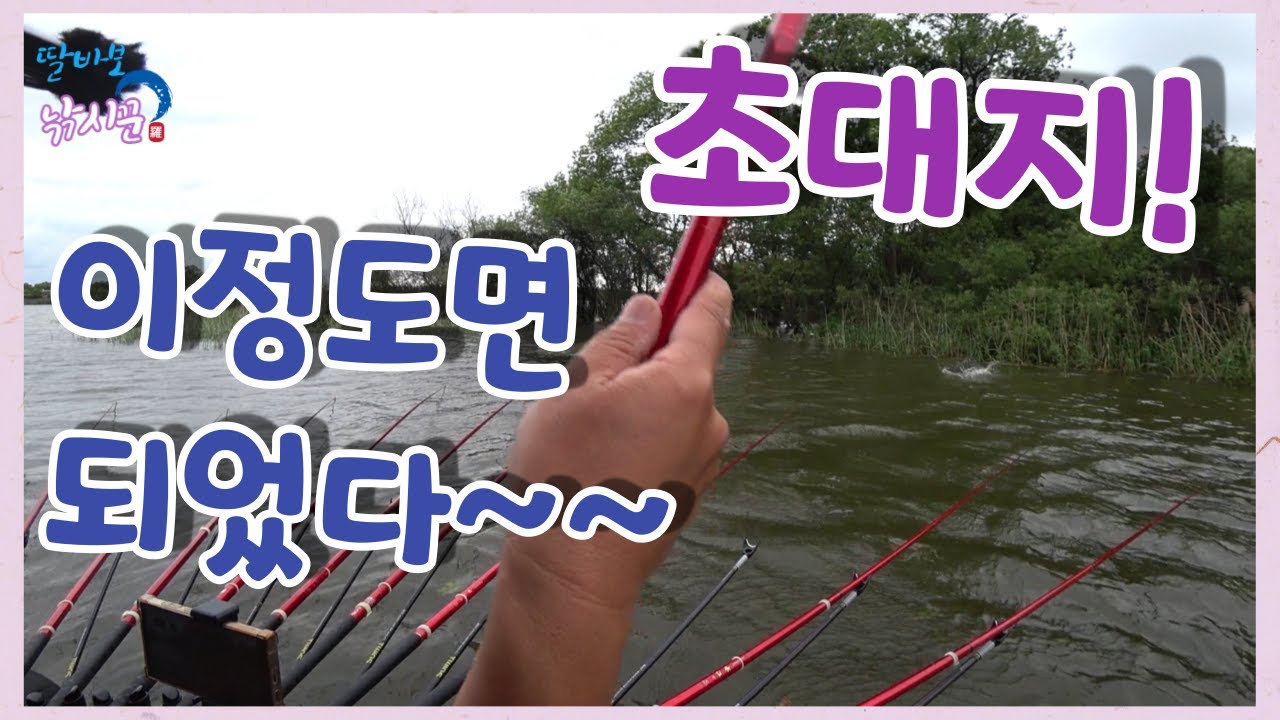 초대박 조과! 이정도면 되었다~~ #당진 #초대리지 #월척붕어 #구독자6천 #이벤트