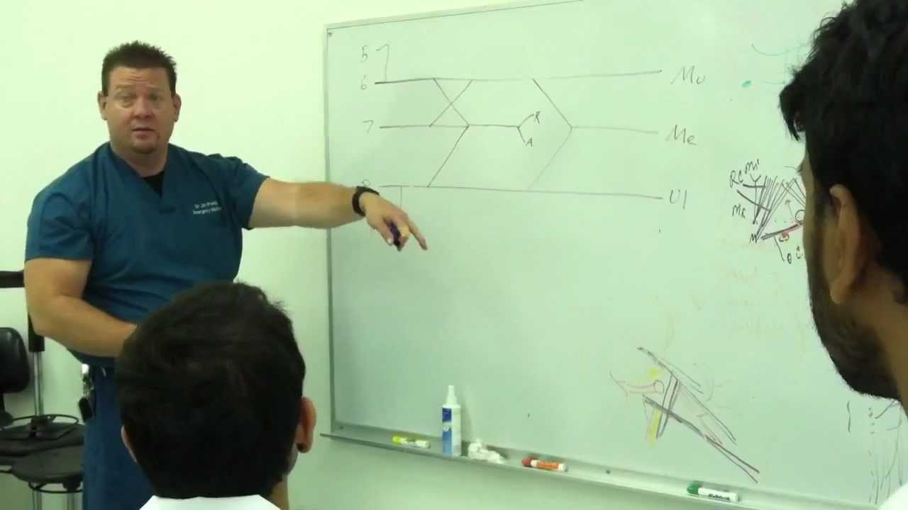 The Brachial Plexus explained
