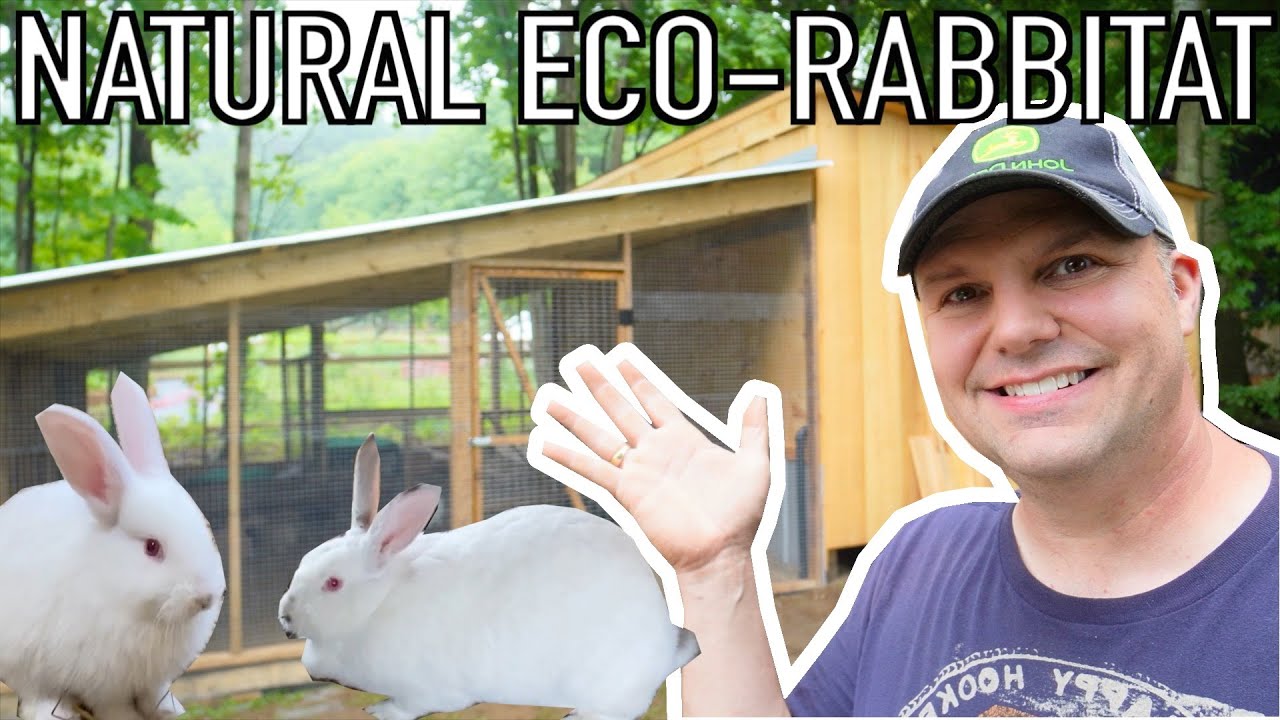 Создание естественной колонии кроликов | Bunny Barn & Habitat