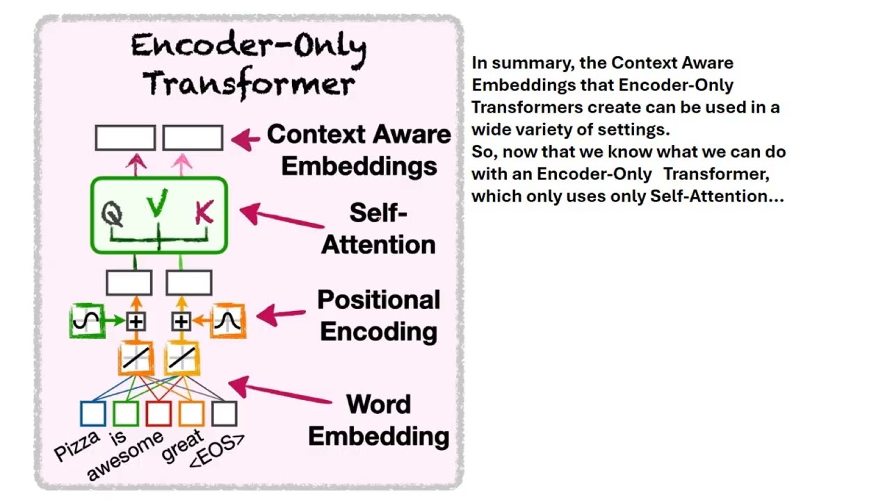 Contextualized Embedding | Positional Encoding بالعربى