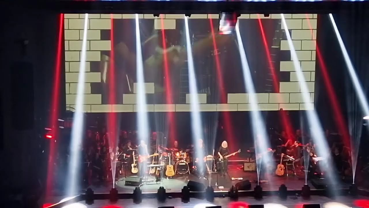 The Wall - Pink Floyd - Mister Pink. A Tribute To Pink Floyd & Roger Waters