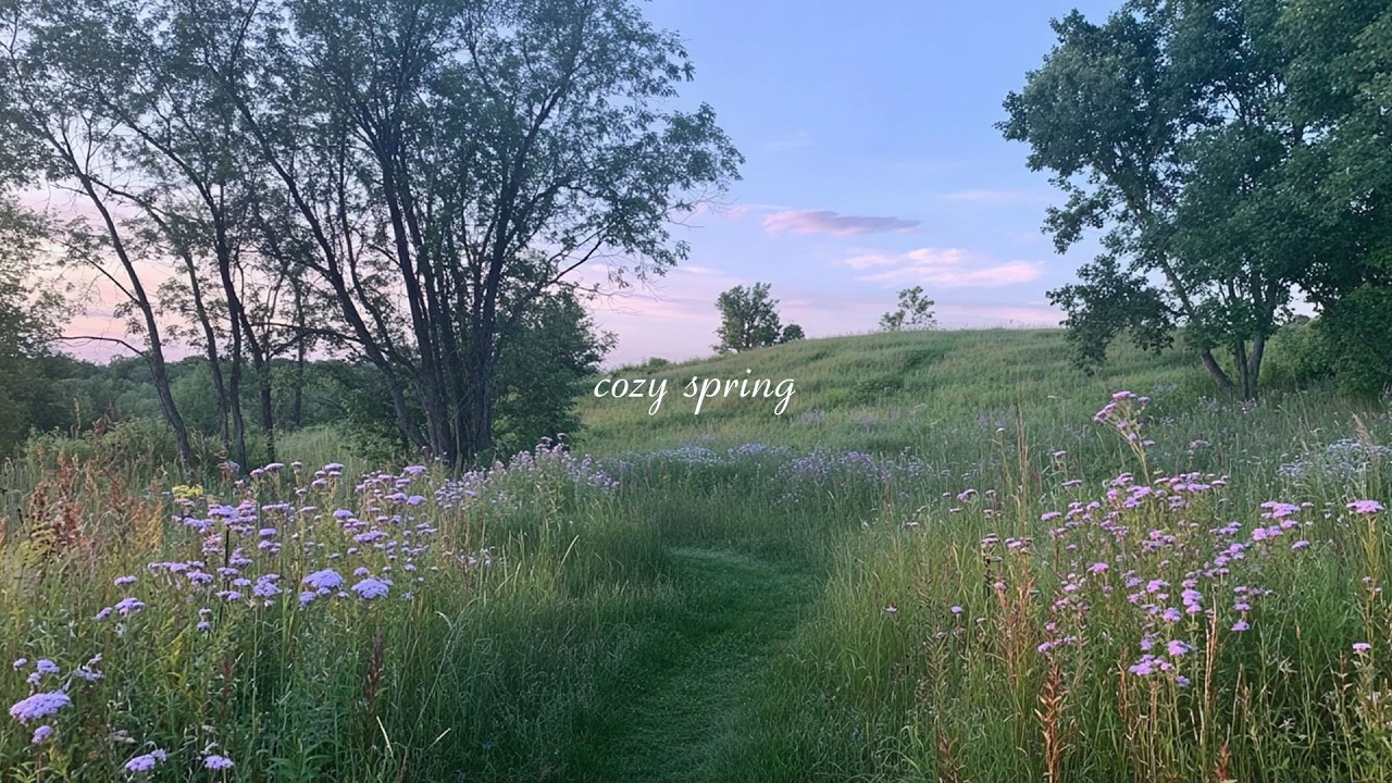 cozy spring vibes 🌿 soft piano playlist for work & reading