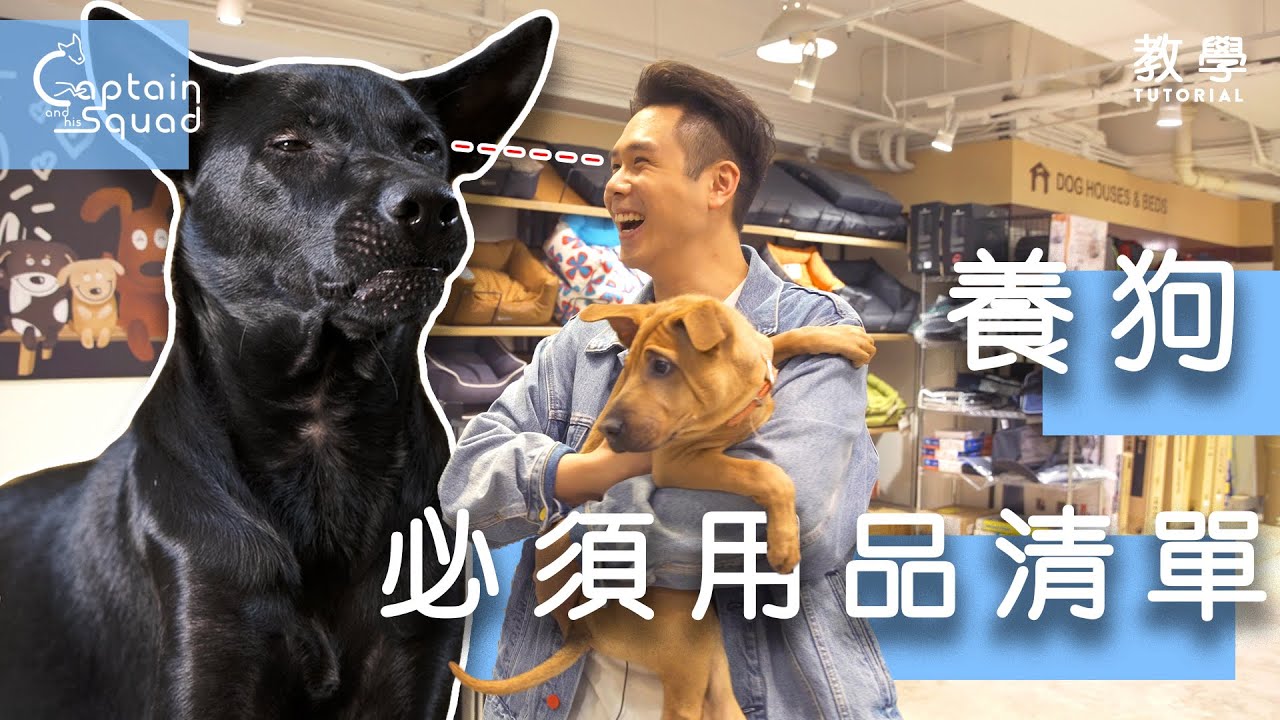 【教學】養狗必須用品清單 🐶 ｜📍Whiskers N Paws