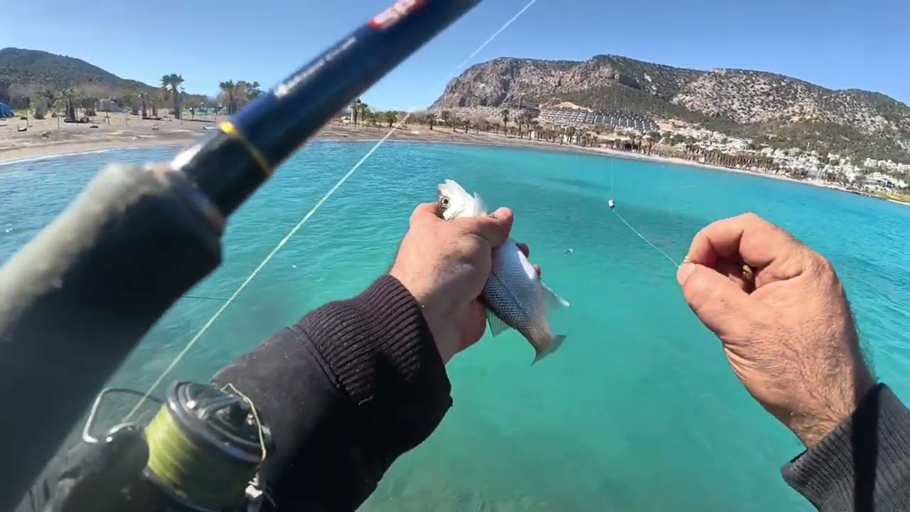 🐟 çupra avı nasil yapılır? İşte o anları...