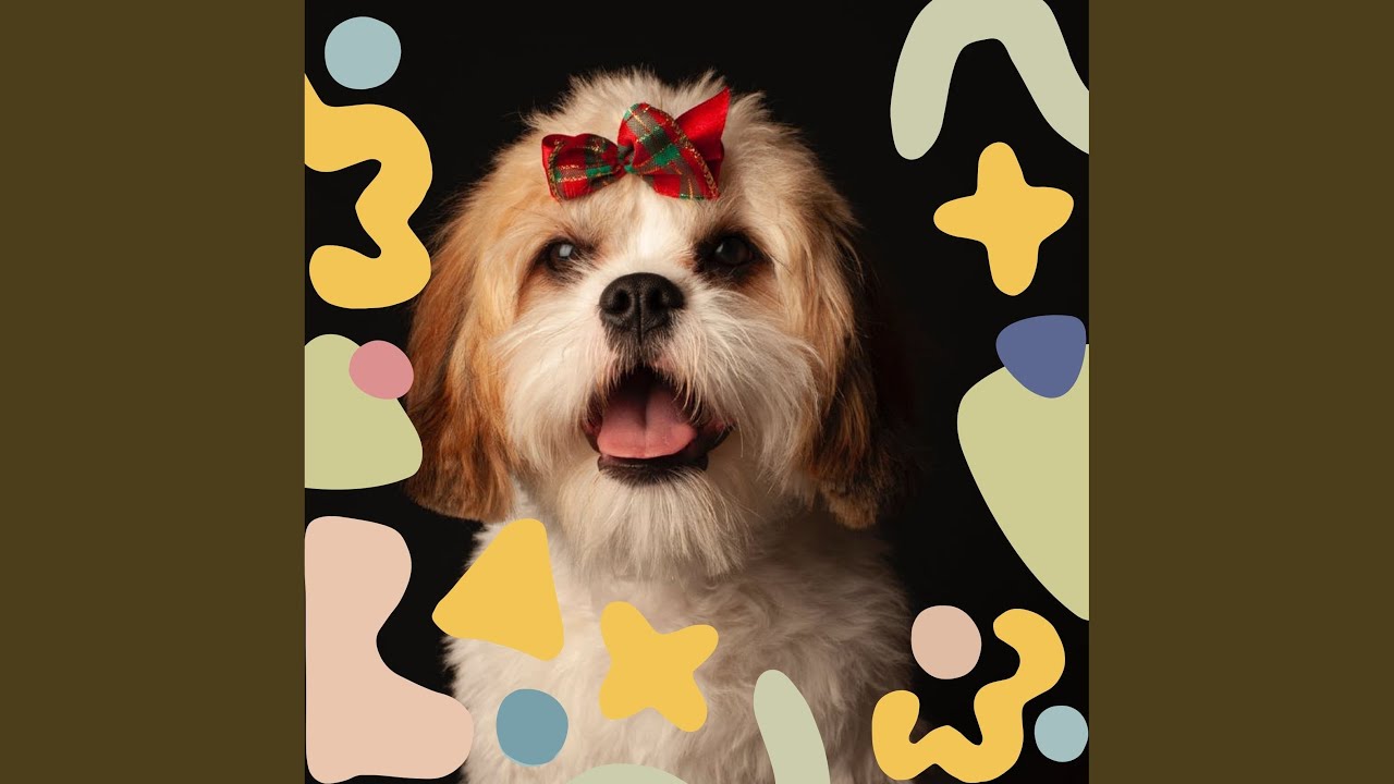 Terrific Moods for Doggy Chewies