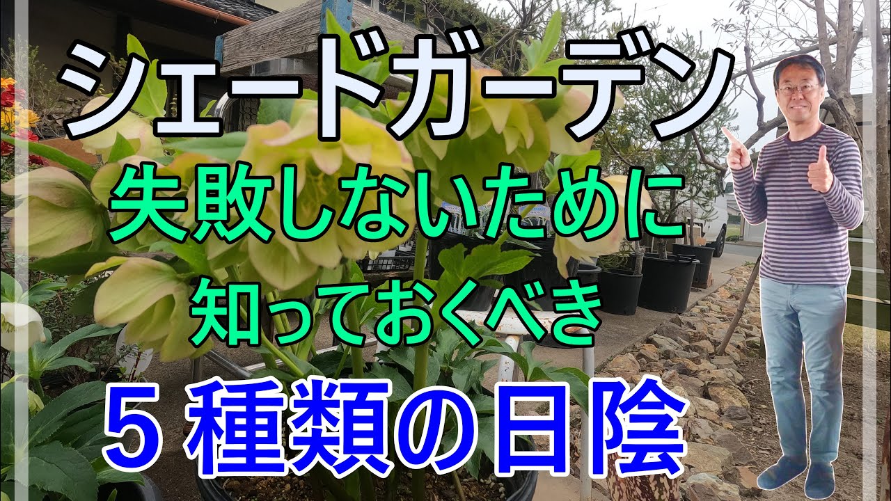 [ガーデニング] 日陰の庭づくり成功の秘訣！プロガーデナーが5つの日陰タイプと育つ植物を解説