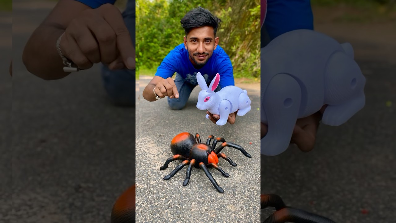 Amr Duita Toys RC Spider 🕷️ and Rabbit 🐇 #unboxing