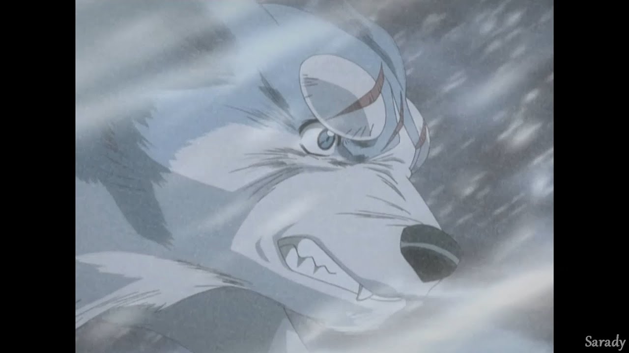 Ginga「AMV」RISE