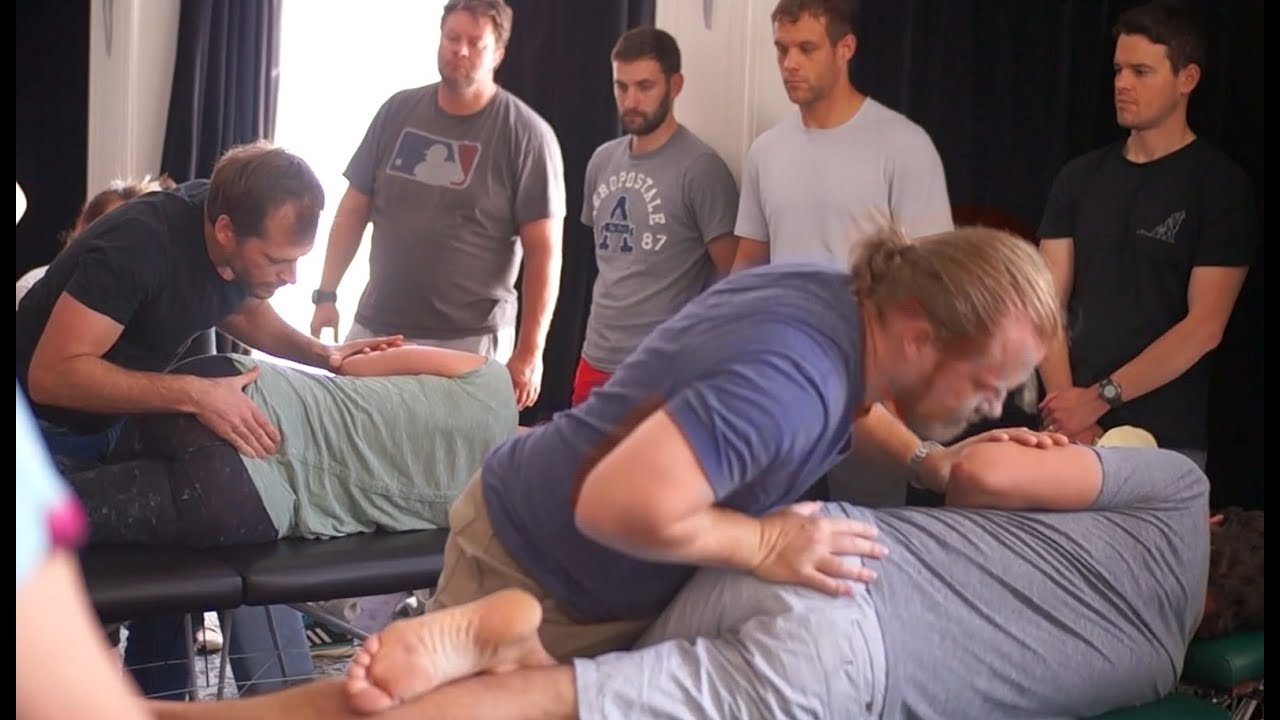 What is Syntropy Chiropractic Training all about?